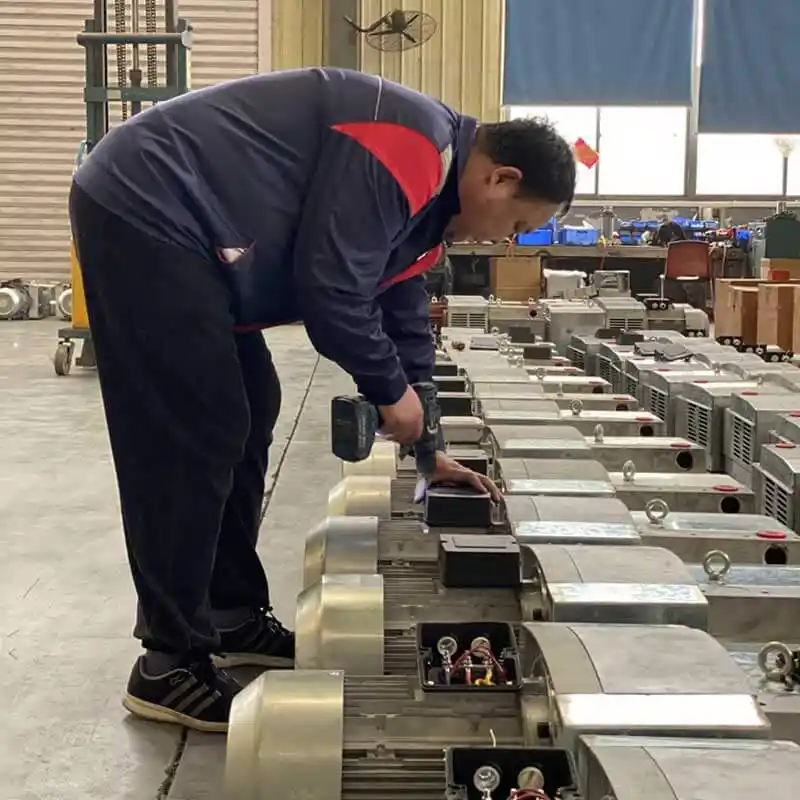 Dry rotary vane vacuum pump assembly