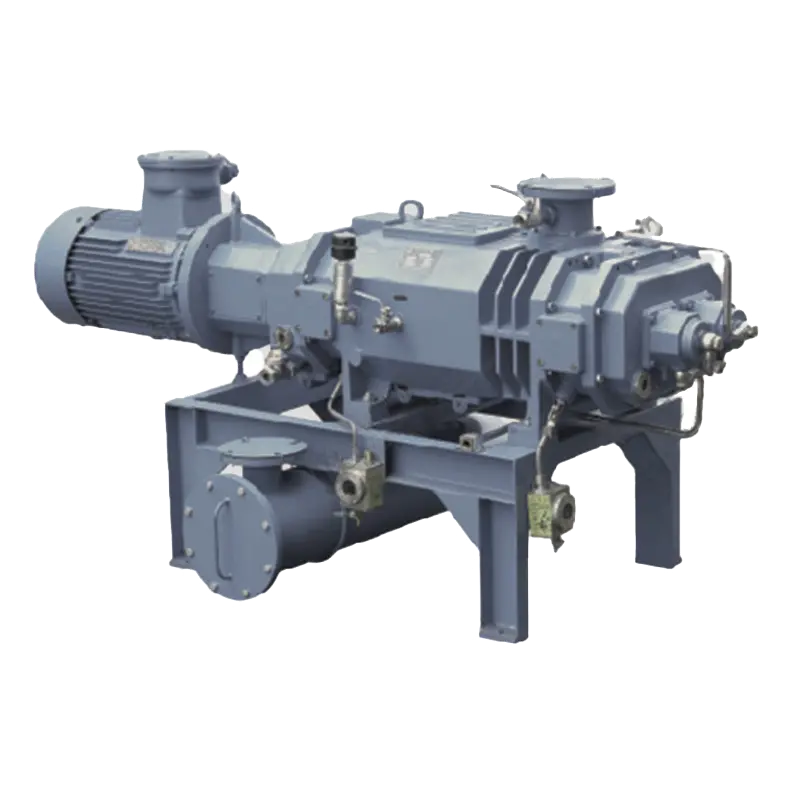 dry screw vacuum pump