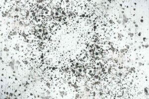 oil misting oil flooded rotary vacuum pump