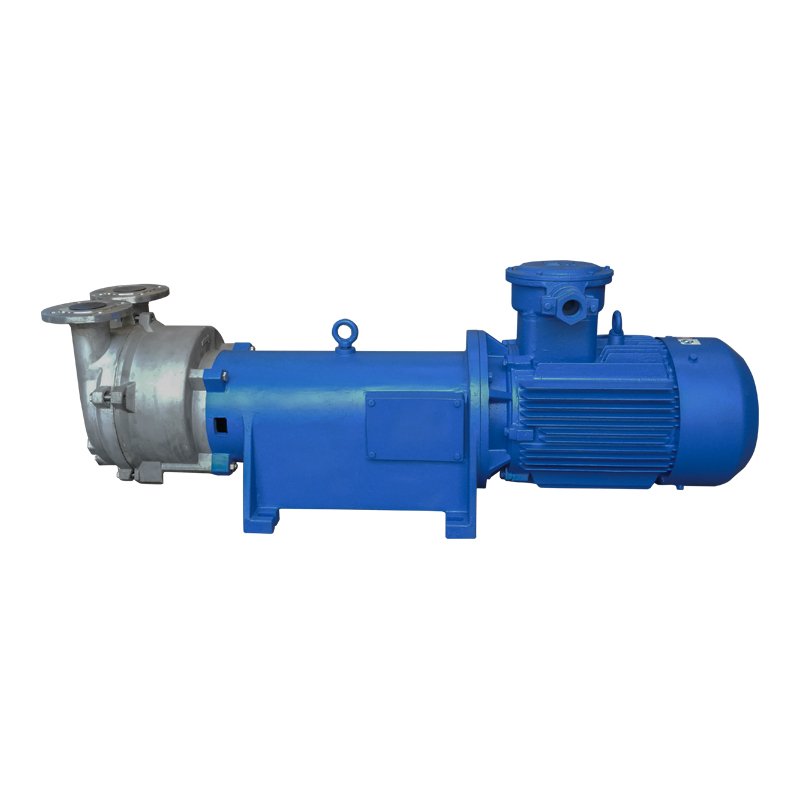 2BV6 liquid ring vacuum pump