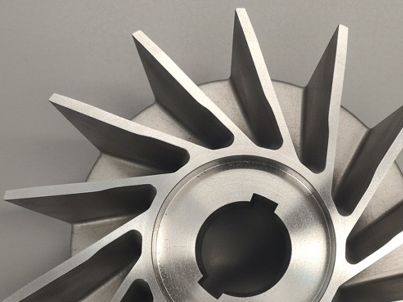 liquid ring pump cast 01